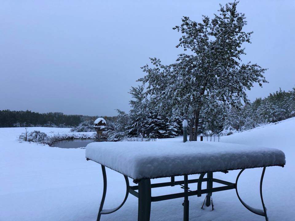 Snow in Sturgeon Heights, Alta. on Wednesday, September 12, 2018.