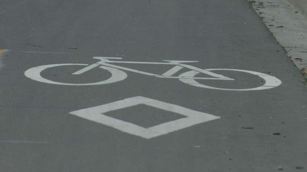 East Strathcona homeowners want bike lanes, but this is ‘overkill’ - image