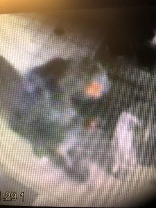 Halton police searching for suspect after robbery at Oakville Burger King - image