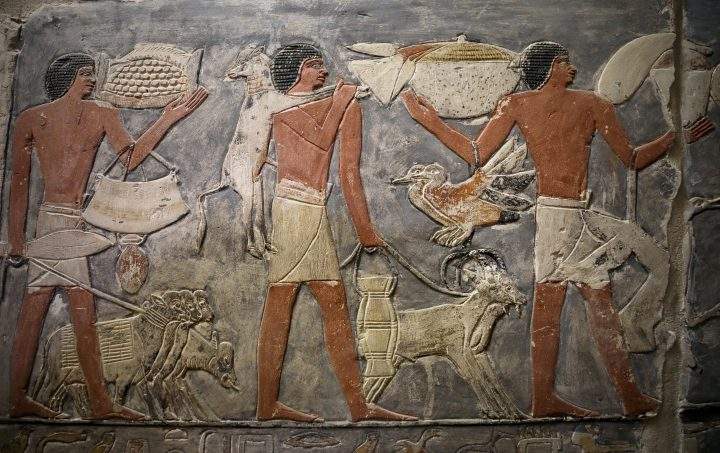A wall of a chamber of the tomb of Mehu is seen after it was opened for the public at Saqqara area near Egypt’s Saqqara necropolis, in Giza, Egypt Sept. 8, 2018.