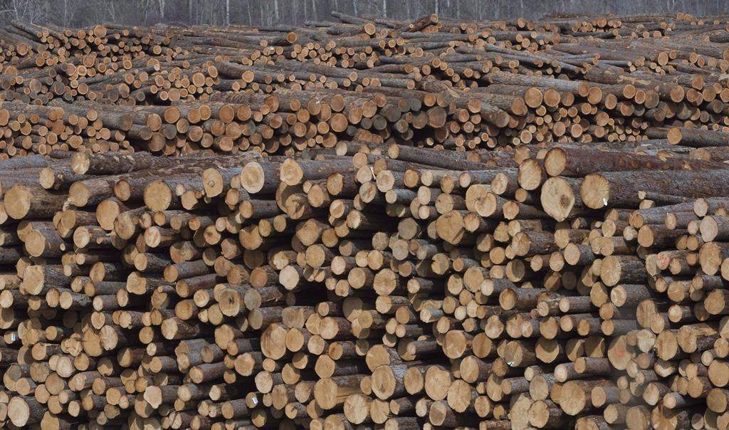 File photo. One Sky Forest Products in Prince Albert, Sask., will require approximately 845,000 square metres of timber to meet its annual production goal.