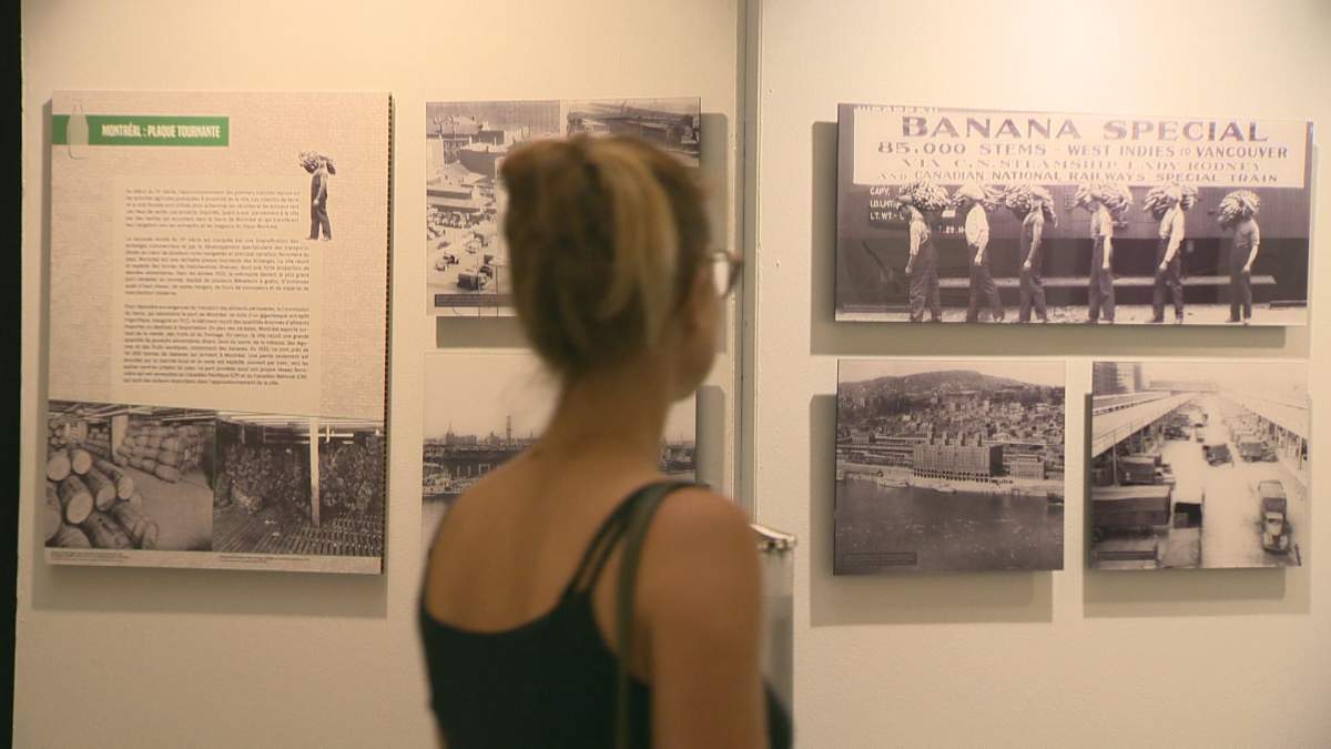 Nourrir le Quartier, Nourrir la Ville historical exhibition opens to the public in Montreal city hall. 