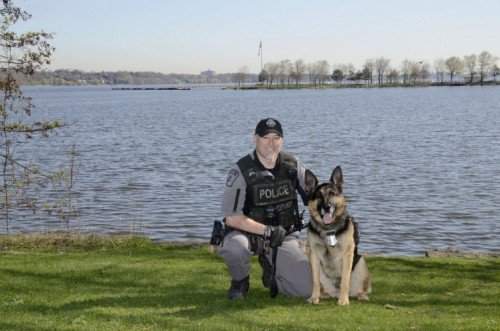Hamilton police say a K9 Officer helped rescue a dog who was left inside a hot car.