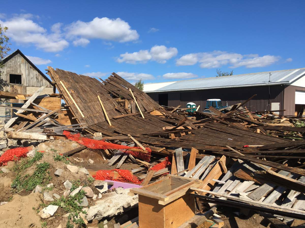 A powerful windstorm on Sept. 21 flattened this 120-year-old heritage barn on Russell Road in southeast Ottawa. This is a “significant” loss to the National Capital Commission, a spokesperson said.