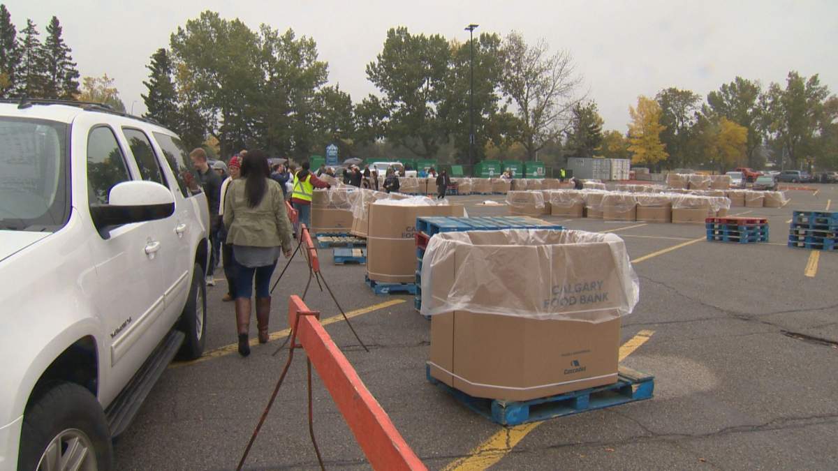 Seven-thousand volunteers collected non-perishables across Calgary for the City-Wide Food Drive on Saturday.
