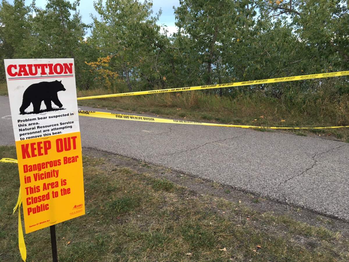 Calgary's Glenmore Trail was closed due a report of a bear in the area.
