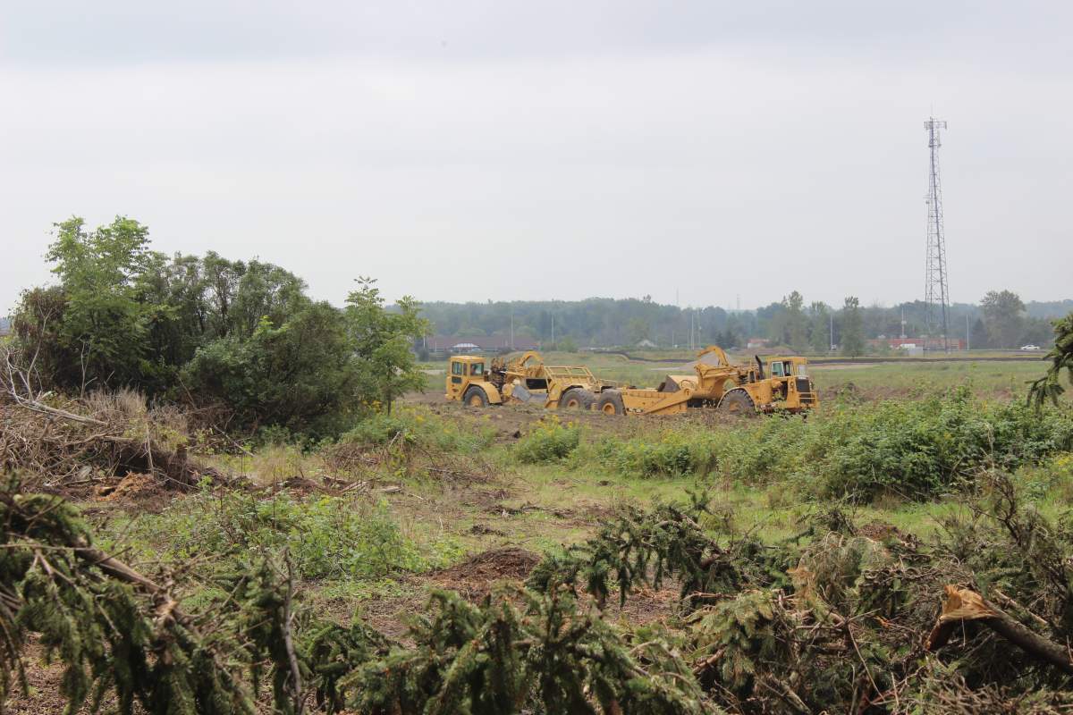 Machinery can be seen behind the fallen trees, moving around the property Sifton Properties plans to turn into a subdivision.