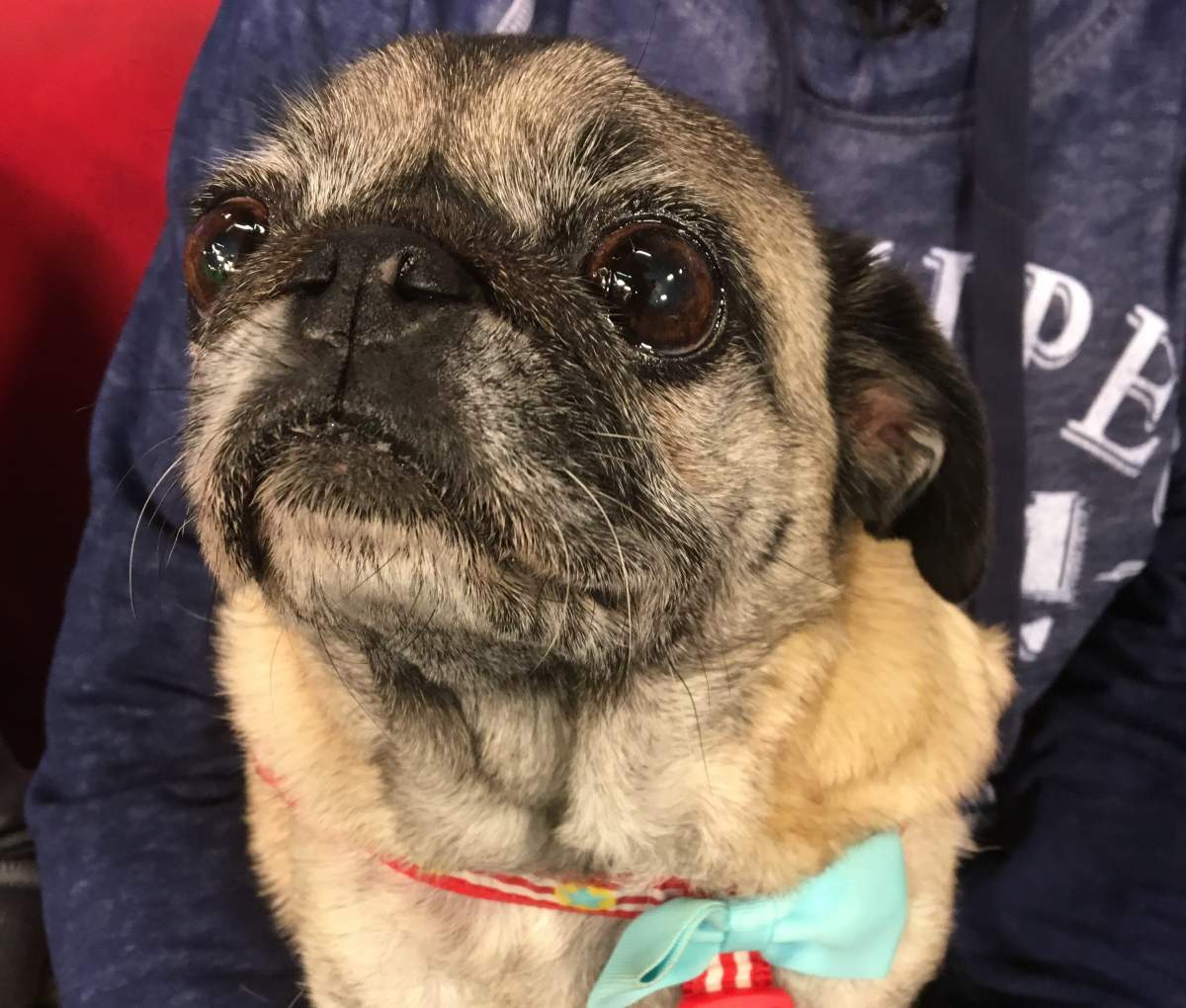 Deasy Lynn is looking for her new buddy.
