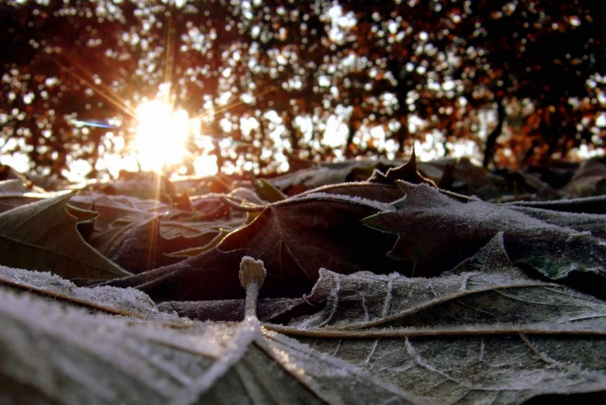 Frosty Wednesday morning across Saskatchewan, nine records broken - image