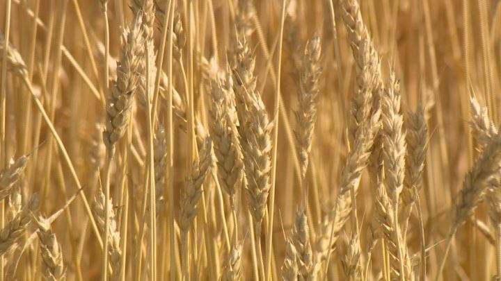 Ontario has launched a public awareness campaign to highlight mental health challenges suffered by farmers.