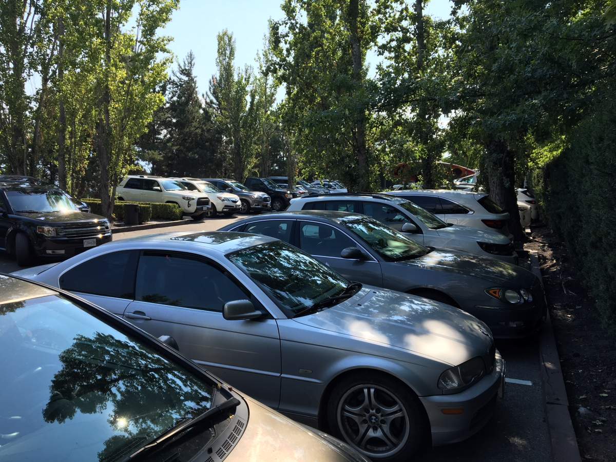 Almost a week after the overnight fire, there was no sign of the flames in the Mission Hill Winery parking lot on Monday. .
