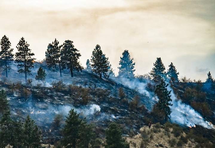 Smoke rises from the Okanagan Falls wildfire on Friday afternoon.