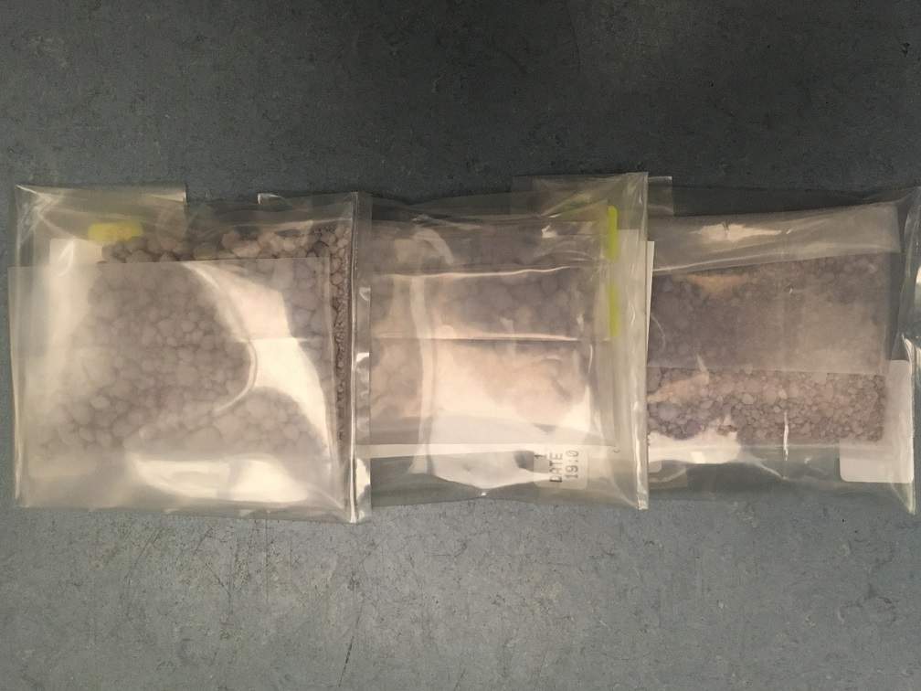 Police seized $98,000 worth of purple fentanyl in a drug bust in north Edmonton August 2018. 
