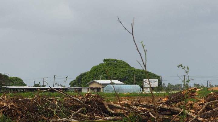 A Grace Road Church farm is shown in Fiji in this image from July 2018.