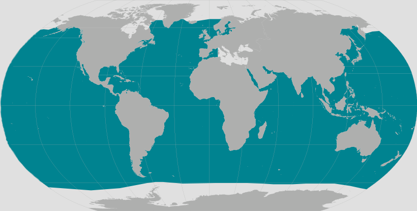 Sei whales have a wide distribution around the world, preferring deep water further from the coastline in subtropical, temperate and subpolar regions.