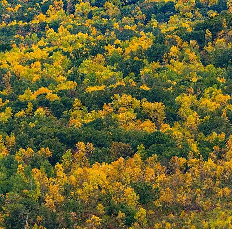 Pembina Valley Provincial Park, Manitoba.