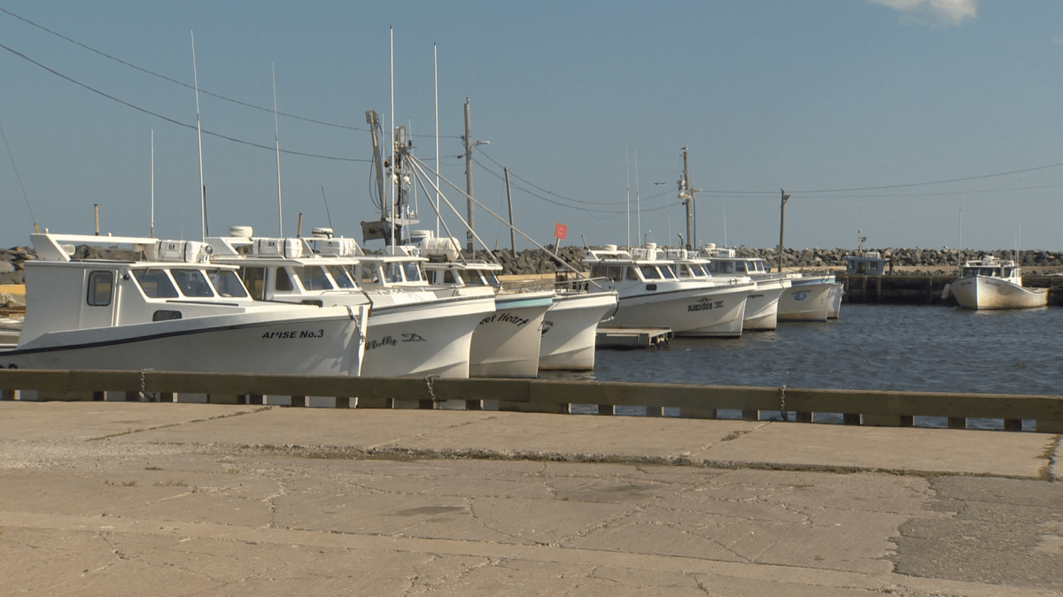Boat owners can face a number of fines for invasive species offences as of Wednesday.