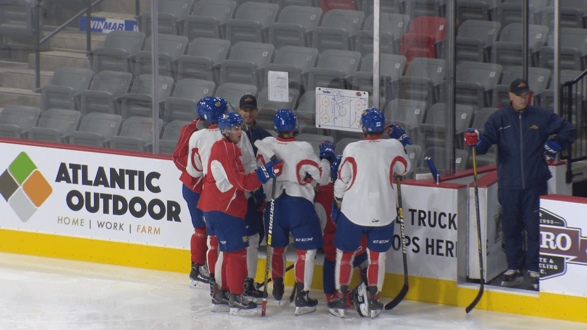 The Wildcats hope to bounce back after dropping their contest to the Saint John Sea Dogs Sunday.