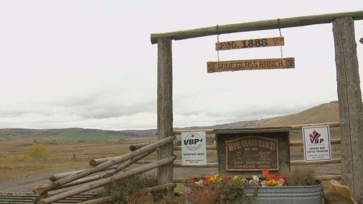 For the family, it comes down to the health and history of the ranch.“The big thing is the love of the land,” she said. “When you grow up here and you hear the stories, there’s this love and this knowledge and wanting to protect it.”