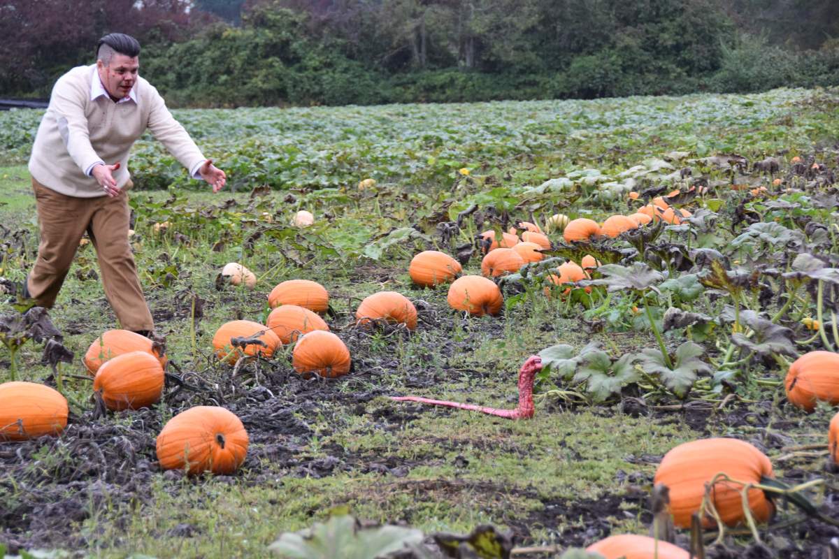 Todd and Nicole Cameron pose in this recent birth announcement photo at a pumpkin patch in Yellow Point, B.C.