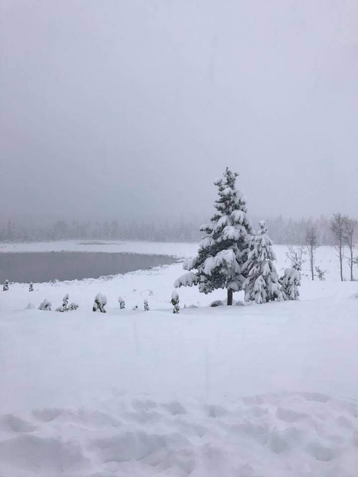 70 Mile House. Credit: Angela Darnell