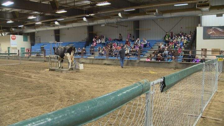 The Ag Experience event at Prairieland Park teaches students about livestock and food production.