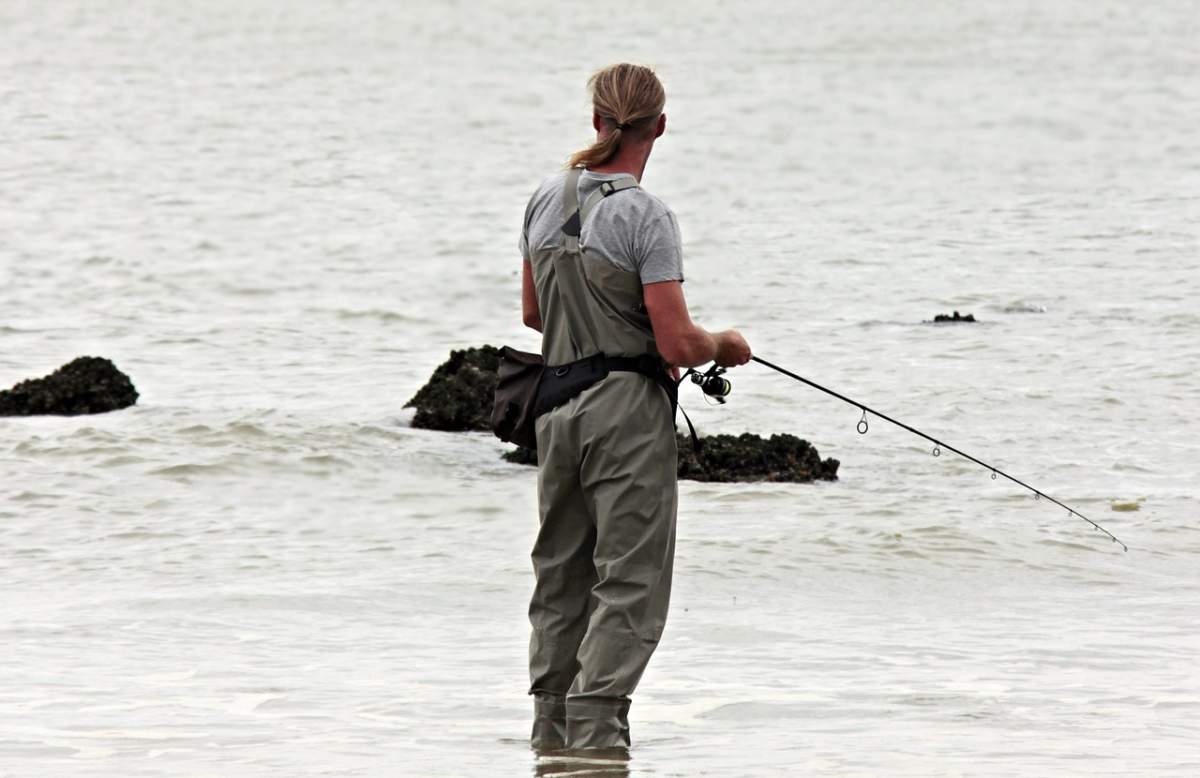 New regulations and a new one-day licence are available for anglers in Manitoba, Natural Resources and Northern Development Minister Greg Nesbitt announced Wednesday.