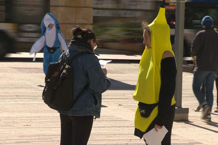 Activists with NextGen America at a get-out-the-vote event in Madison, Wis. Brett Carlson/Global News