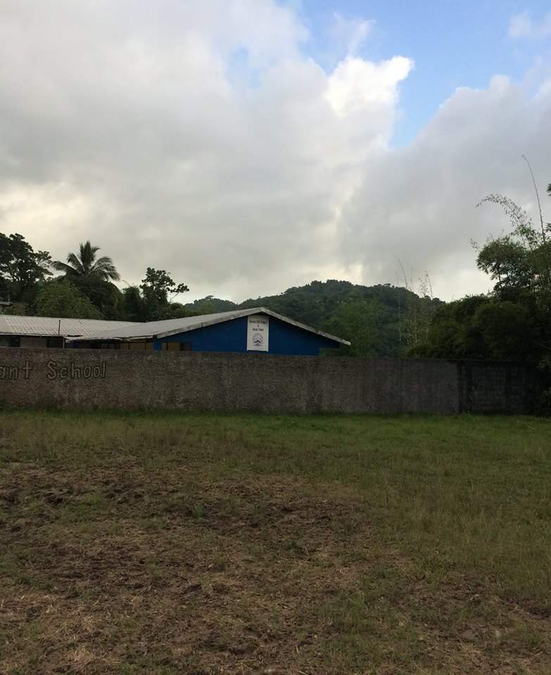 Primary school in Jamaica enlists the help of Mohawk College students - image