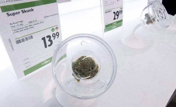 Vernon could be getting its own BC Cannabis Store in the future.