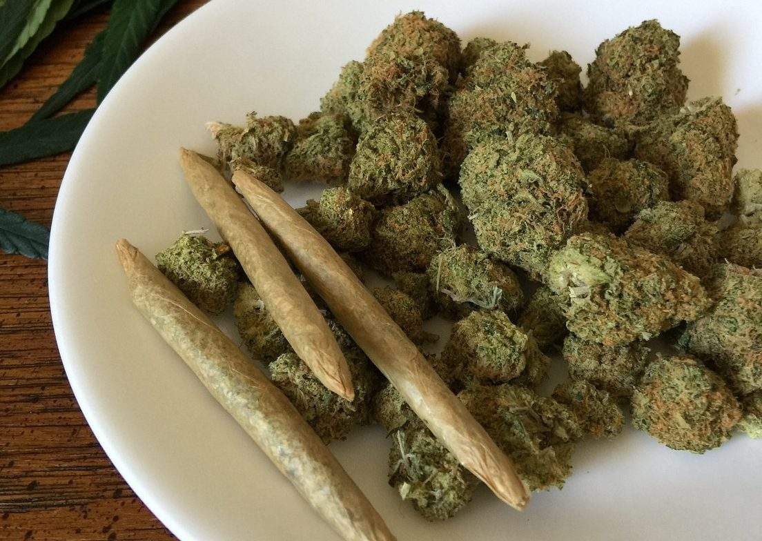 Cannabis is not allowed in Manitoba parks this May long weekend.