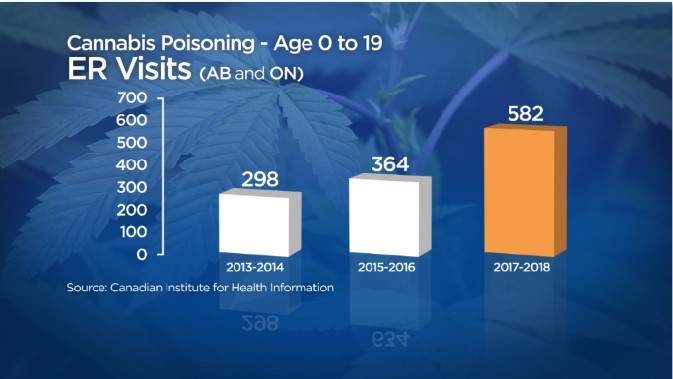 Spike in cannabis poisoning in kids a concern for doctors: ‘It’s candy and it tastes great’ - image