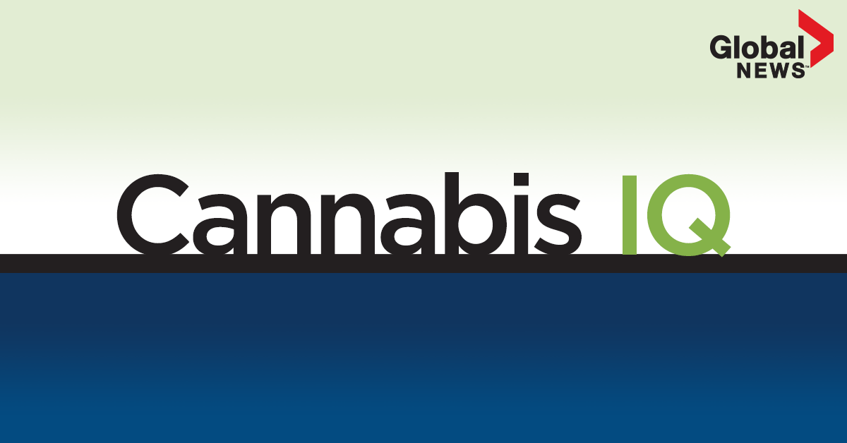 Cannabis IQ: Get your weekly news and information about legalization - image