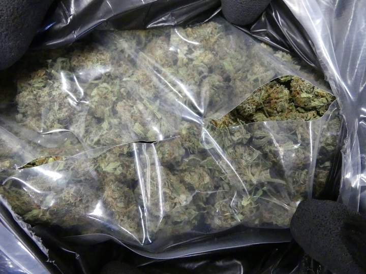 The Canada Border Services Agency announced the seizure of five separate shipments of suspected marijuana, weighing over 20 kilograms, destined for Denmark and Italy.