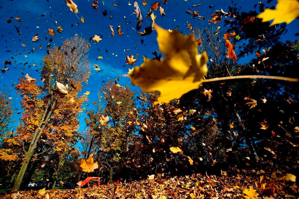 Nature Conservancy of Canada recommends reasons not to rake your leaves this fall to help the environment. 