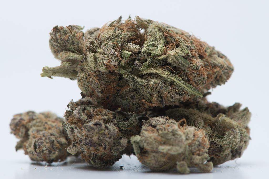 The NDP Opposition is calling on the province to ensure there is enough legal marijuana to meet consumer demand in Saskatchewan.