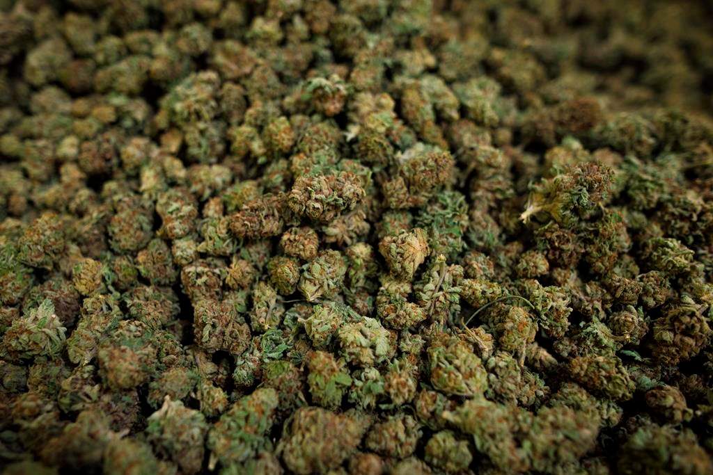Cannabis will be legal nationwide Oct. 17.