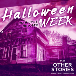 The Other Stories These aren’t the stories your mother used to tell you… no, these are The Other Stories — a modern take on The Twilight Zone, Tales From The Crypt or The Outer Limits.   