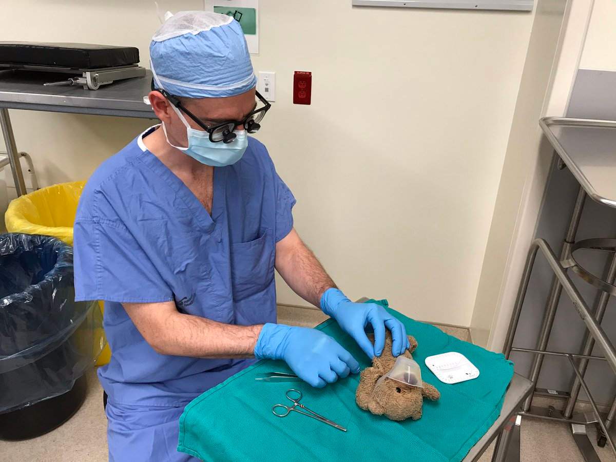 A Halifax neurosurgeon helped sew up a young patient's teddy bear and won the hearts of Twitter users around the world. 