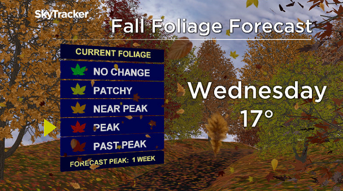 Fall foliage has begun to peak across the Okanagan with perfect conditions to get out and enjoy it.