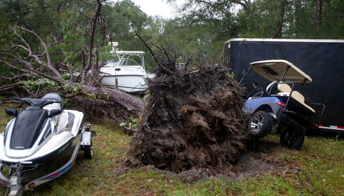 A large tree is shown toppled onto cars and boats that had been moved to higher ground to avoid damage from Hurricane Michael.