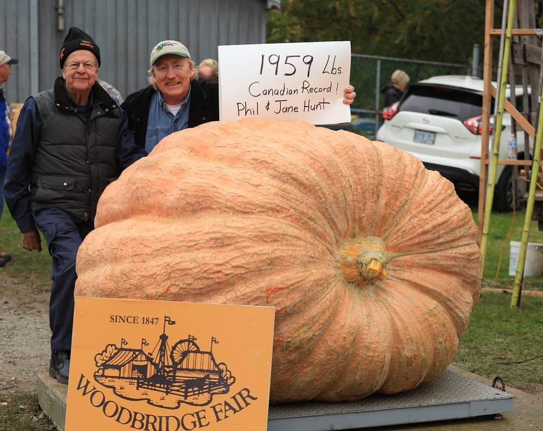 Phil and Jane Hunt show off their pumpkin at the Woodbridge Fall Fair.