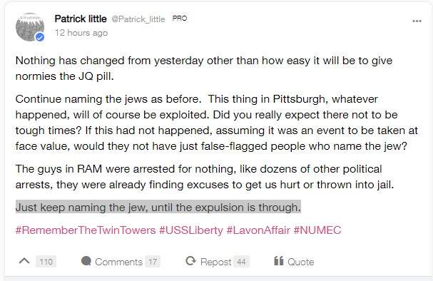 A screen grab from Gab’s site on Sunday, Oct. 28, before the platform was taken down showing user Patrick Little’s anti-Semitic comments.