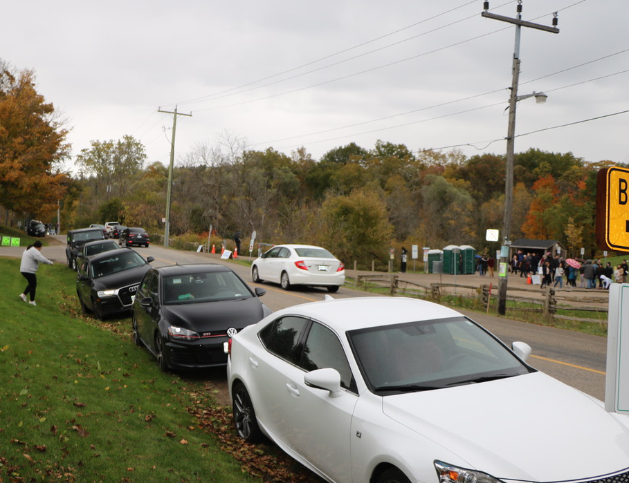 On weekends and holidays, the streets of Greensville, Ont., are clogged with cars as visitors flock to Spencer Gorge to see the local waterfalls.