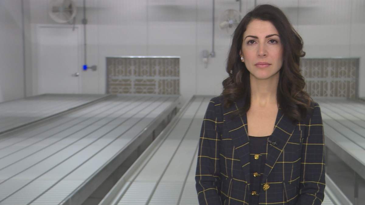 Christine Halef, president of AtlantiCann Medical Inc., speaks at the opening of the company’s cannabis cultivation facility in Lower Sackville, N.S., on Oct. 22, 2018