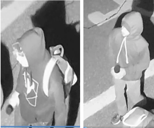 Brantford police are looking for two suspects in connection with a hate crime.