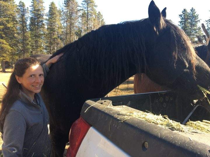 “The auction was heartbreaking when you go there and you see people can’t keep their horses,” said Dr. Sandie Hucal, founder of Free Spirit Sanctuary.