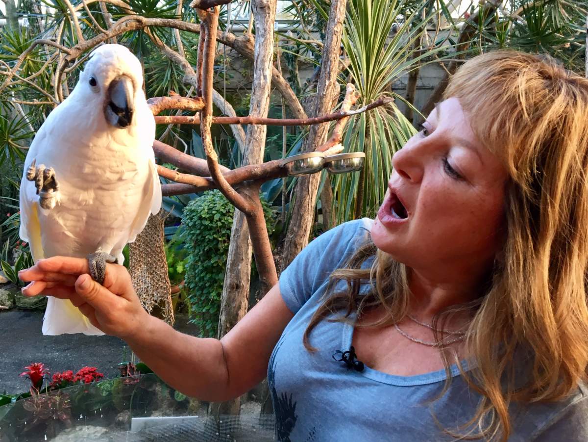 Agnes Romses cares for the more than 170 birds that fly free in Vancouver’s Bloedel Conservatory