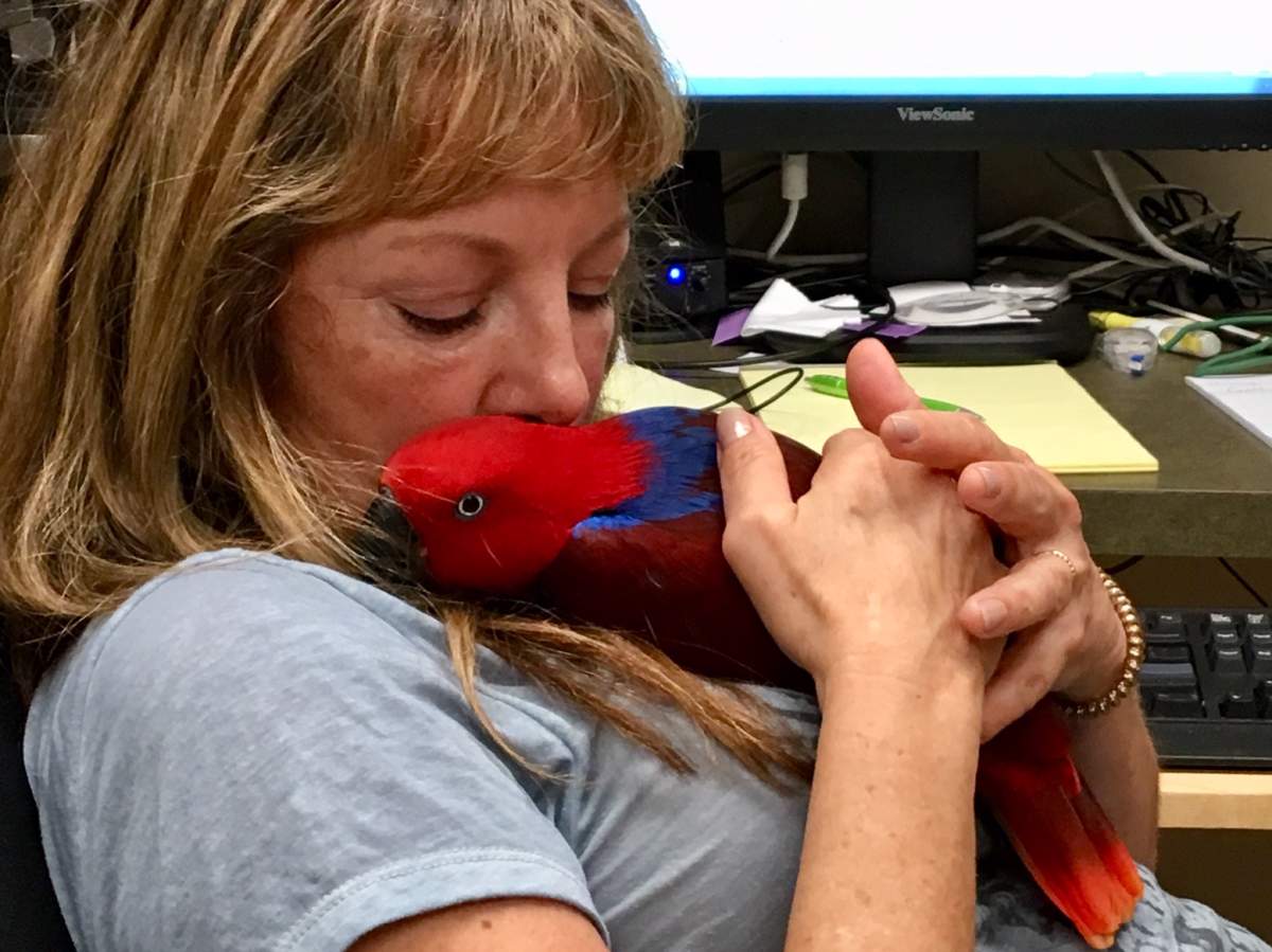 Agnes Romses cares for the more than 170 birds that fly free in Vancouver’s Bloedel Conservatory