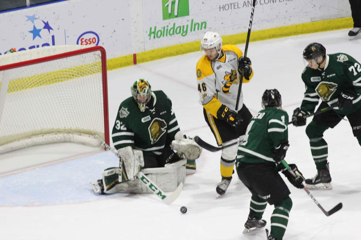 London Knights goaltender Joseph Raaymakers makes one of his 36 saves of the afternoon.